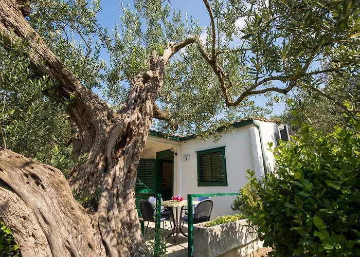 16545b Apartament
